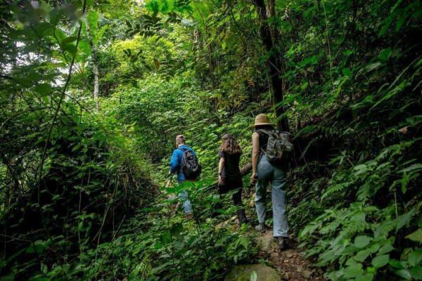 亞馬遜雨林有多可怕？置身其中每秒都存在死亡的風險