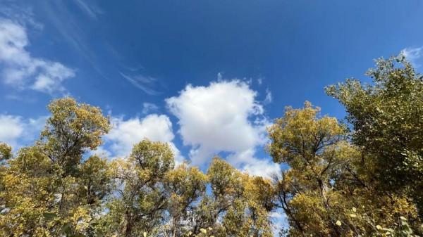 天空如此美麗 -新疆•胡楊林 天空如此美麗 -新疆•胡楊林