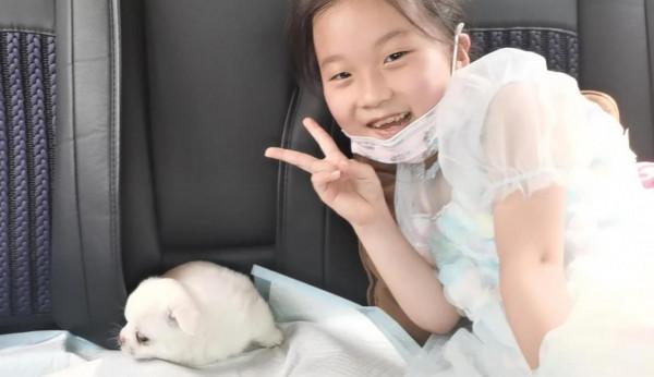 小狗飯糰兒,希望你開心 小狗飯糰兒,希望你開心