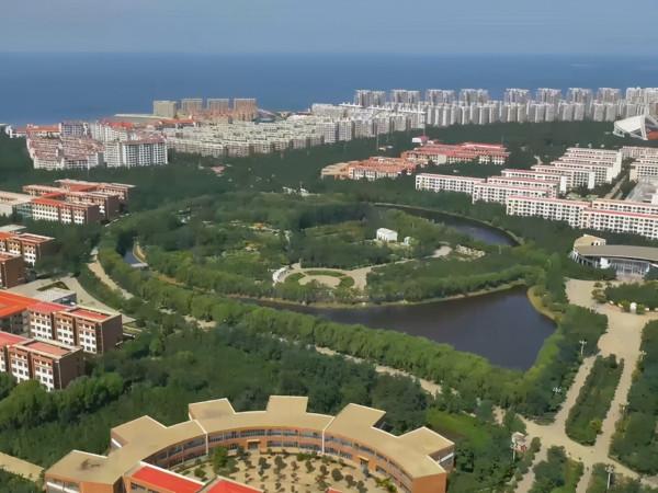 山東“華西村”，兼併周邊11個村莊，年收入過千億，建立村辦大學