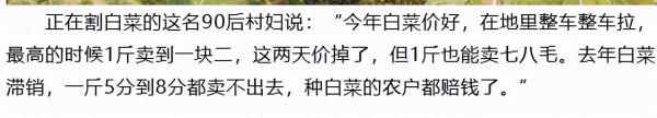 陝西西安這個村種白菜 大媽樂呵呵:今年掙到錢了 陝西西安這個村種白菜 大媽樂呵呵:今年掙到錢了