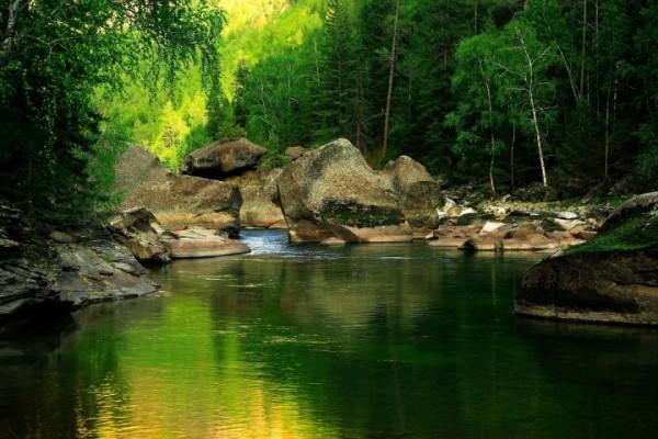 你想要來的新疆2022年是這樣的