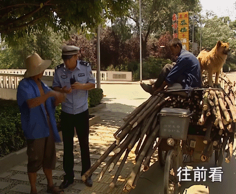 “24歲癱瘓，我收養了一隻差點死掉的貓”