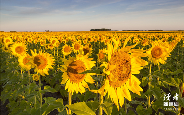 如果你覺得焦慮，就看看這10句話，慢一點也沒關係