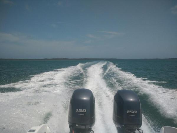 海外生活篇章第二站——非洲莫三比克 海外生活篇章第二站——非洲莫三比克