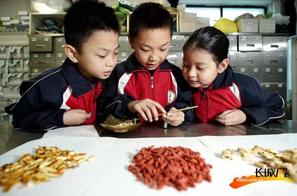 高畫質組圖 | 河北臨城：感受傳統中醫文化魅力