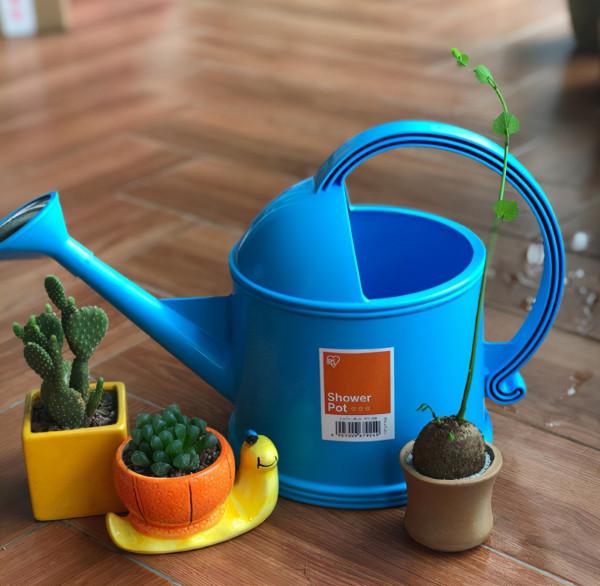 秋天植物喝水多,學會3個補水技巧,不怕植物喝不飽 秋天植物喝水多,學會3個補水技巧,不怕植物喝不飽