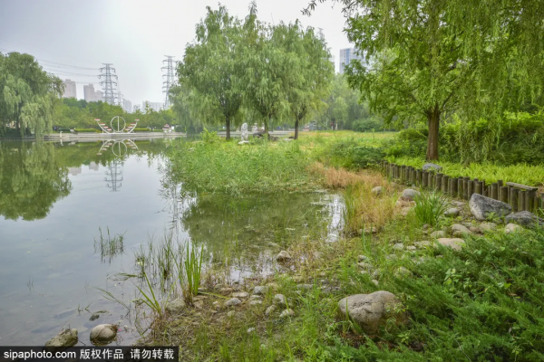 親切!家門口的這些免費小公園,承包你不出遠門的夏天! 親切!家門口的這些免費小公園,承包你不出遠門的夏天!