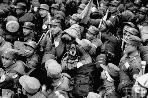 朝鮮戰爭勝利在望，為何主席密調24萬大軍入朝？大局觀令人佩服