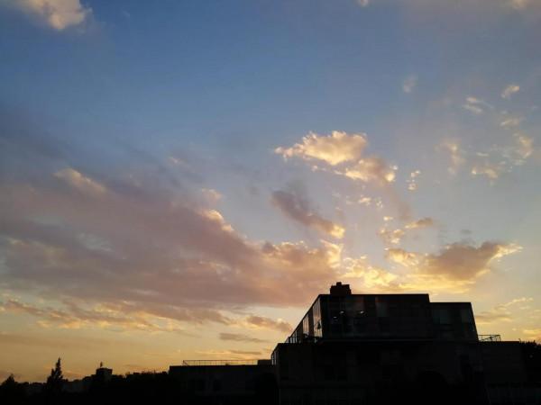 雲之舞～邂逅金鳳凰