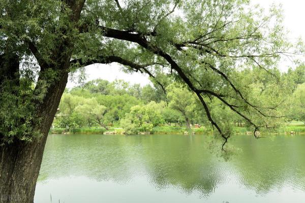 萬事大吉詩選8首：秋思 擁抱九月 秋天 雅趣閒愁 夜靜初心 歲月感慨等