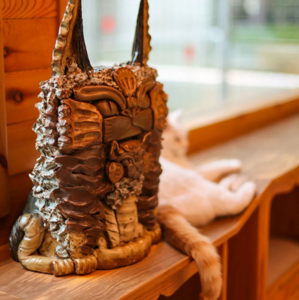 貓咪們如何才能有效防禿？