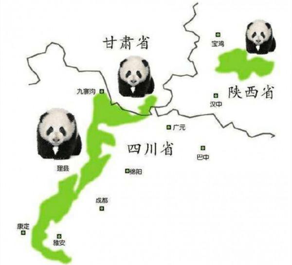 野生大熊貓增多，會跑到其他國家，變成非中國獨有物種嗎？