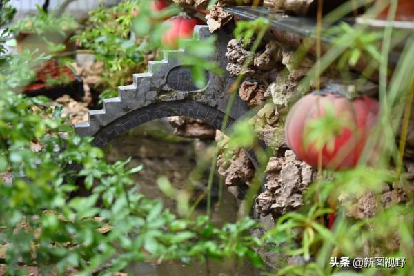 6旬大叔,負債幾十萬後,歸隱深山,活出自我,看生活成啥樣? 6旬大叔,負債幾十萬後,歸隱深山,活出自我,看生活成啥樣?