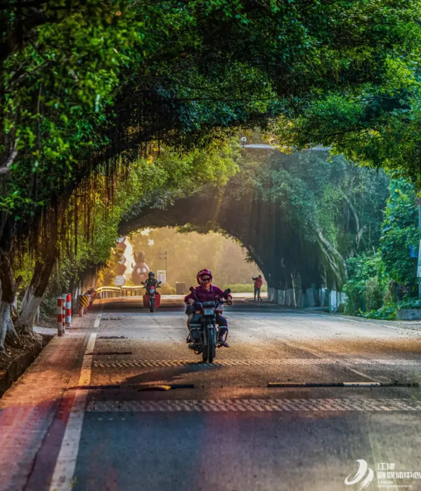 從A到Z，總有一個理由讓你愛上江津！