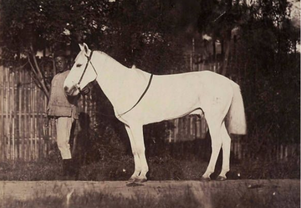 老紅軍隱居鄉下，毛主席再三下令尋找，他：我就只是一個老馬伕啊