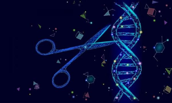 「Nature子刊」編輯人類細胞基因的新方法