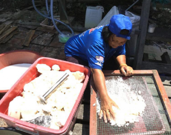 菜菜遊天下：婆羅洲 最古老王朝