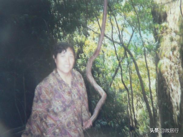 楊家界 烏龍寨 天波府 楊家界 烏龍寨 天波府