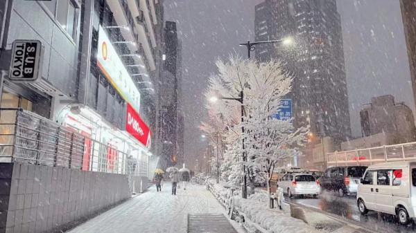2022東京初雪,這個近45年來最冷的冬天,美翻了 2022東京初雪,這個近45年來最冷的冬天,美翻了