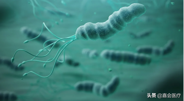 感染了幽門螺桿菌，就會導致胃癌嗎？