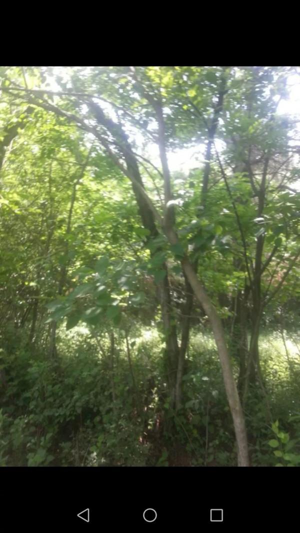 帶上雄心，踏上回家的征途