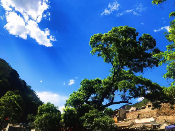 京郊這處距今約600餘年的古村落，詩意唯美之境！