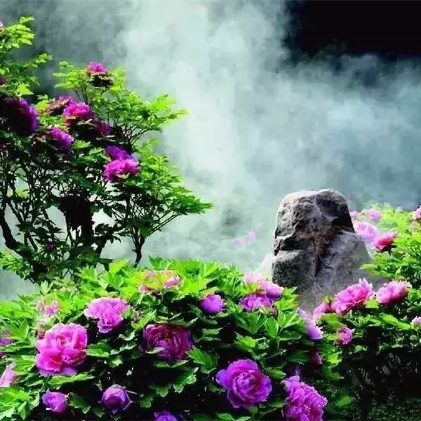 中國最美的30個地方，讓你遇見最美的春天