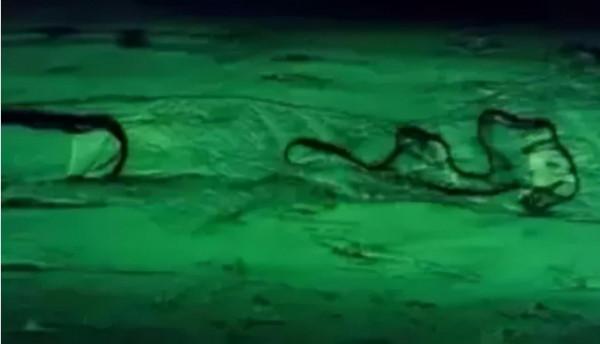 寶知道｜寶石原來也有“指紋”