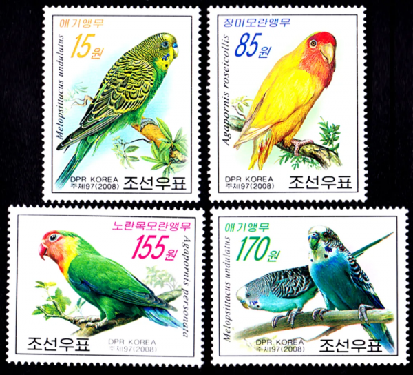 盧伯雄 | 以虎命名的動物 盧伯雄 | 以虎命名的動物