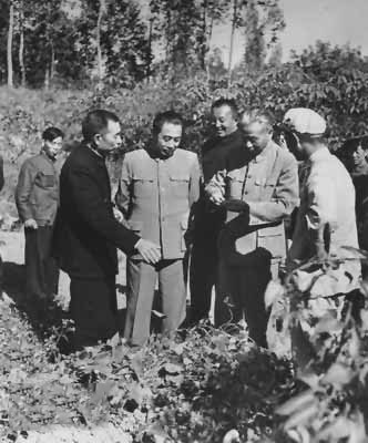 省委書記陶鑄到百貨商店巡查，遭售貨員看不起，他說：你被開除了