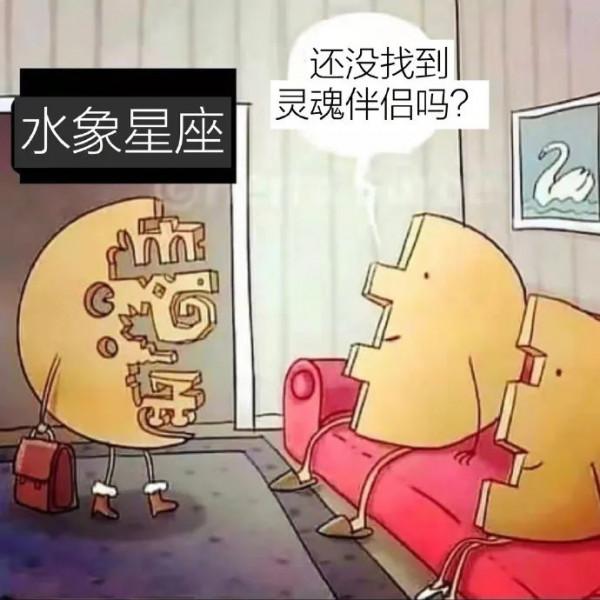 （星梗）星座meme合集12.3-12.10