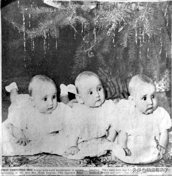 三胞胎實驗，出生就被分開放入不同的家庭，後來的人生有何不同？