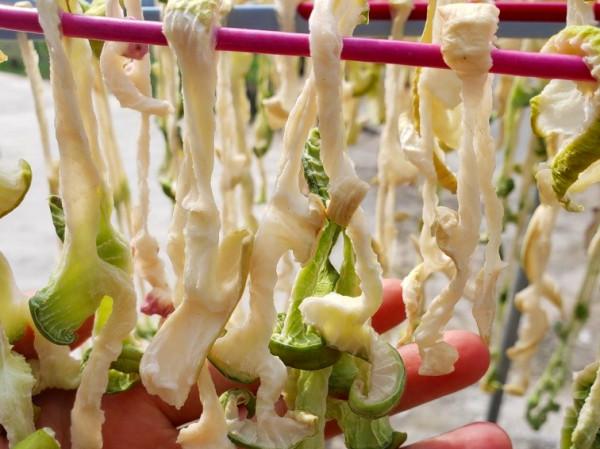 趁著陽光充足,這9種蔬菜可以多曬一些,留著冬天吃,燉肉特別香 趁著陽光充足,這9種蔬菜可以多曬一些,留著冬天吃,燉肉特別香