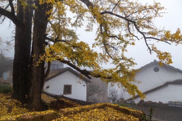 人少景美|9個寶藏旅遊地,深秋初冬一網打盡 人少景美|9個寶藏旅遊地,深秋初冬一網打盡