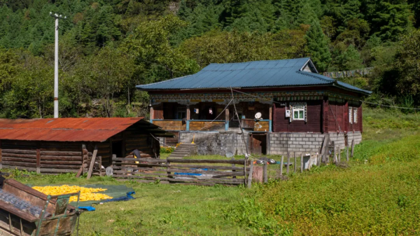 好傢伙，這條鮮為人知的路集合了所有藏地美景