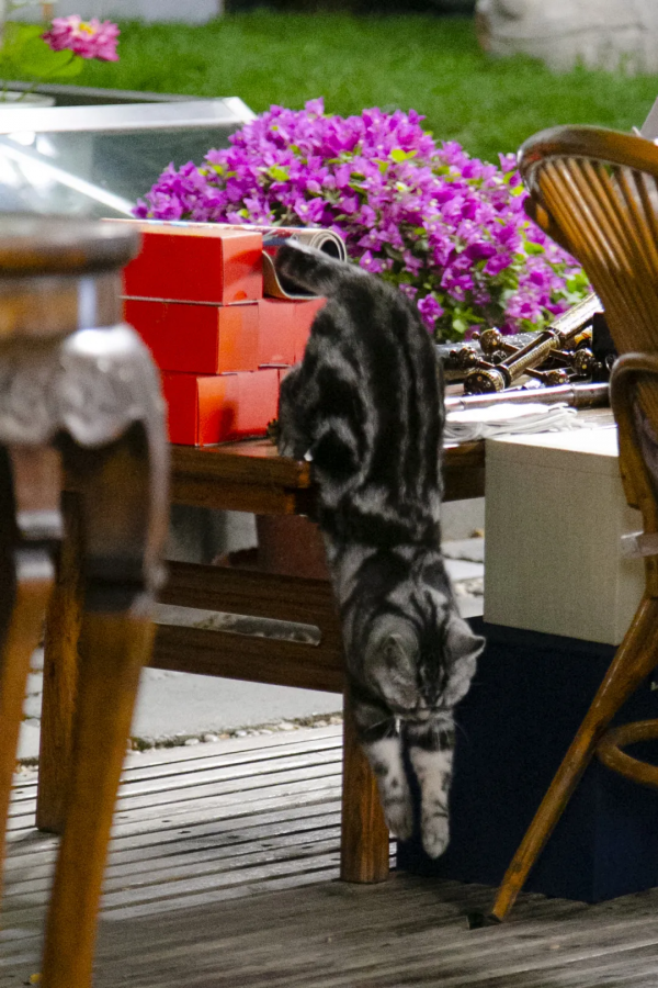 脖子扭扭屁股扭扭，久坐傷身讓我們來做運動