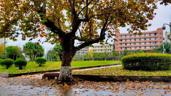 四川省7所師範高校錄取分:其中4所理科500分以下也能考上 四川省7所師範高校錄取分:其中4所理科500分以下也能考上