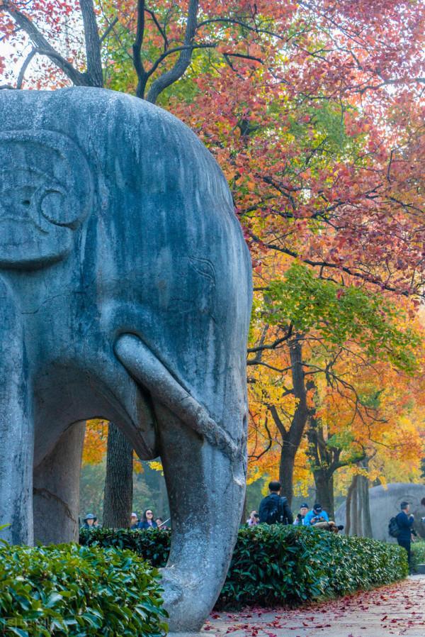 一見南京誤終身!忽然,想去金陵了 一見南京誤終身!忽然,想去金陵了