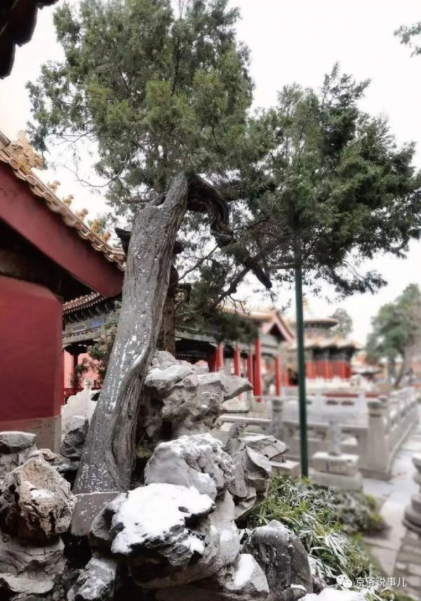 御花園裡一處被人忽略的文物&mdash;&mdash;摛藻堂西山牆上的乾隆御製詩碑