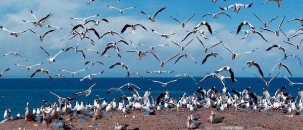 國內旅遊那些出名的打卡地