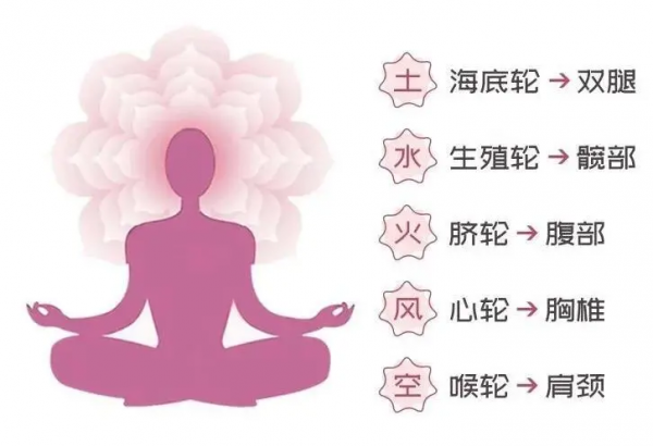 增強免疫｜暖冬裡的流瑜伽，快來了解一下