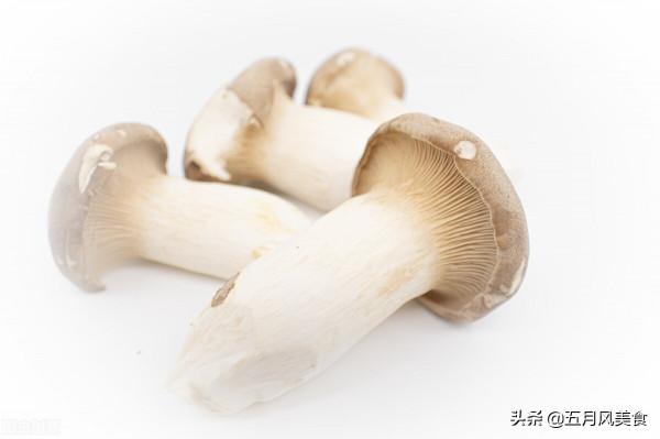 冬天的菌菇最養人!6種養身菌菇,您可別錯過了 冬天的菌菇最養人!6種養身菌菇,您可別錯過了