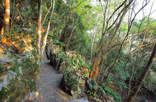福建絕美景區走紅，仍儲存著全真大自然的韻味，是不可多得的去處