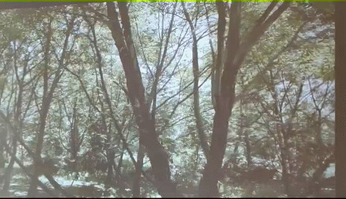 HOMAX享受家庭巨幕電影：泰捷WEBOX T1s智慧投影