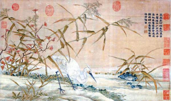 以蘆為姓，在水一方