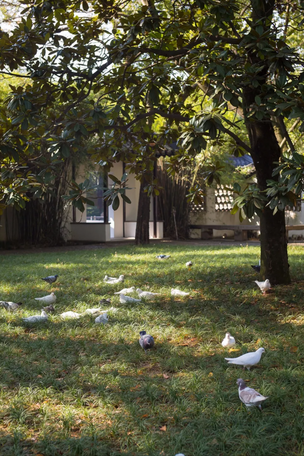 中國唯一主動退出4A景區的寺院，門票降至5元卻依然火爆