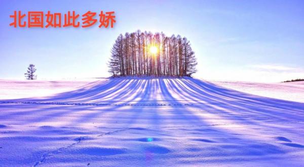 司馬南出生於東北，東北的雪景實在是美