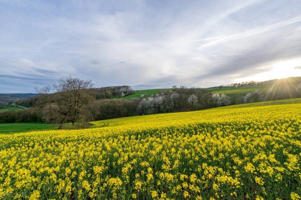 那些是我的室友 那些是我的室友