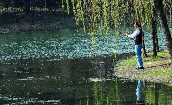 春釣鯽魚用蟲餌還是面餌？一直在爭論，你覺得用哪種餌效果更佳？